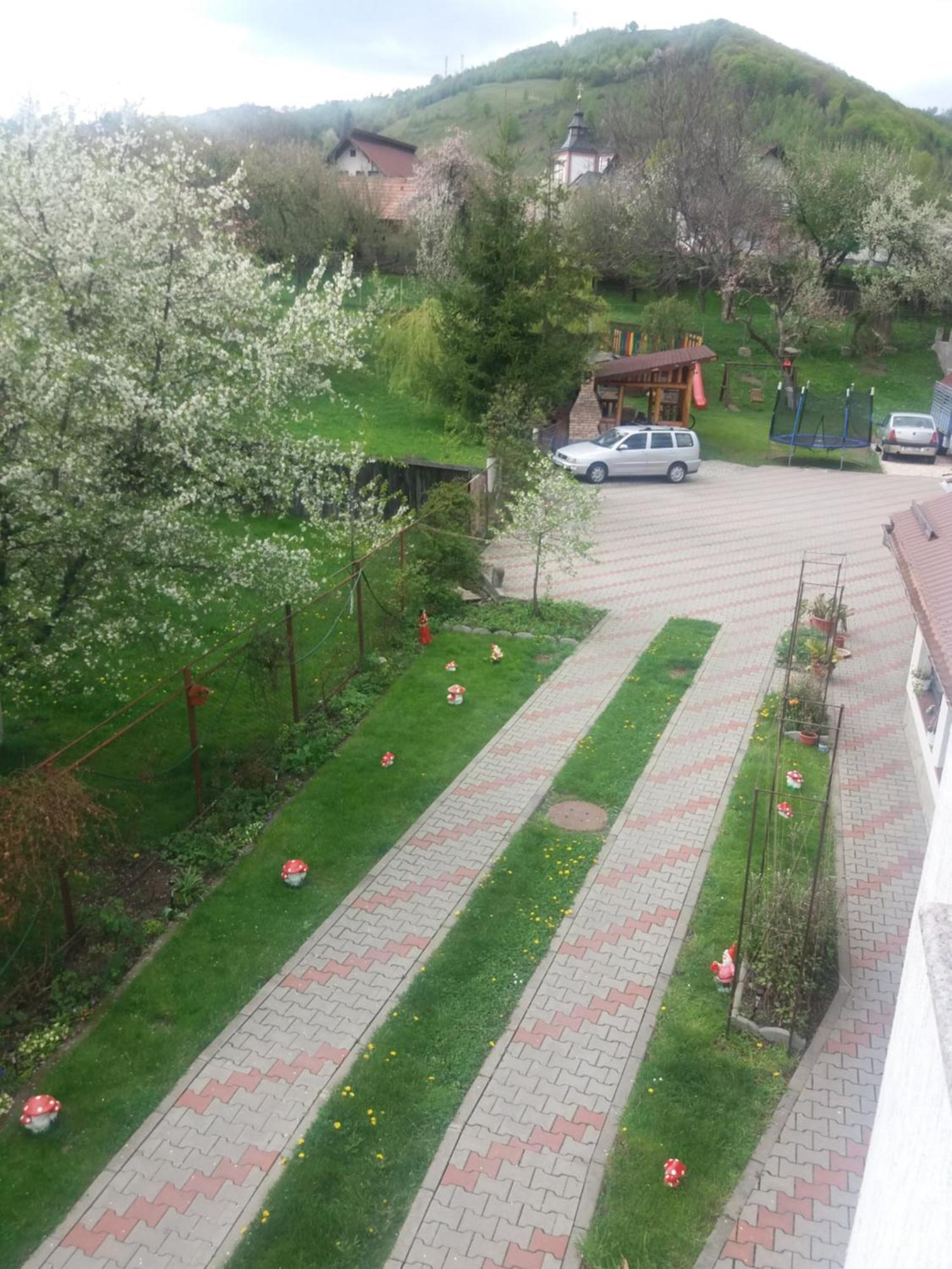 Casa Elena Hotel Moieciu de Jos Eksteriør billede
